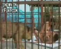 Нежный интимный момент в уютной обстановке