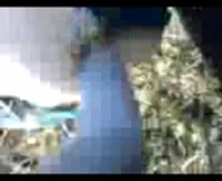 Секс насильственно с кавказцами в порно видео