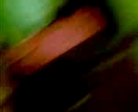 Анальный секс на кавказе очень возбуждающий