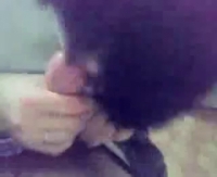 Таджичка делает минет в автомобиле русскому парню